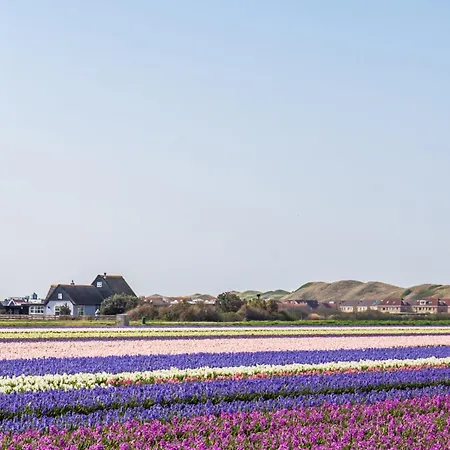 Familiehuis Zee & - Aan Zee *